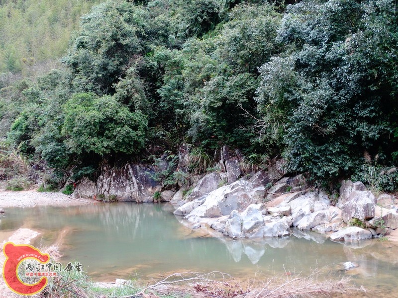 DSC01385.jpg