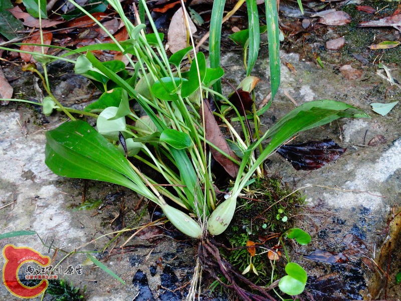 DSC01425.jpg
