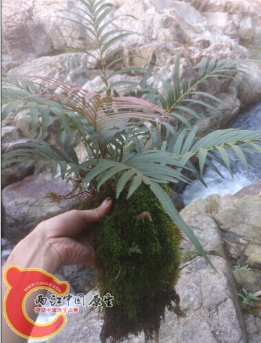 QQ图片20141205223653.jpg