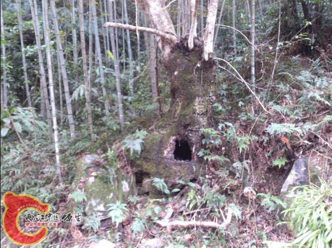 QQ图片20141205223156.jpg