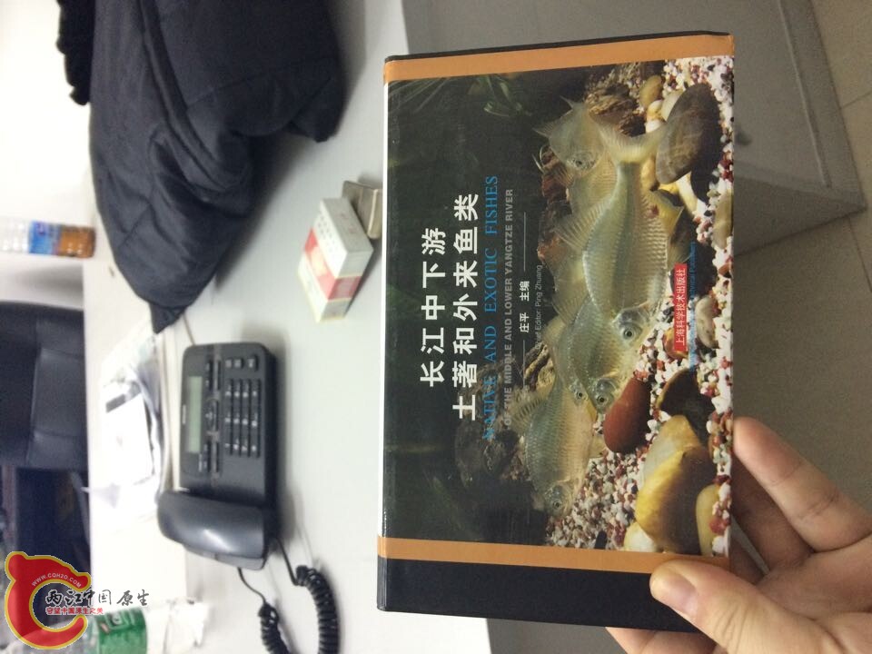 QQ图片20141206133653.jpg