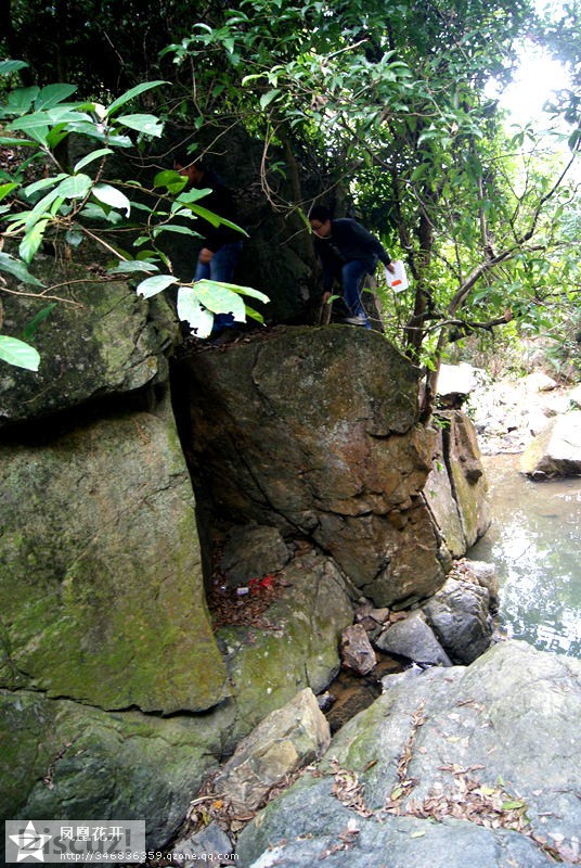 04.jpg