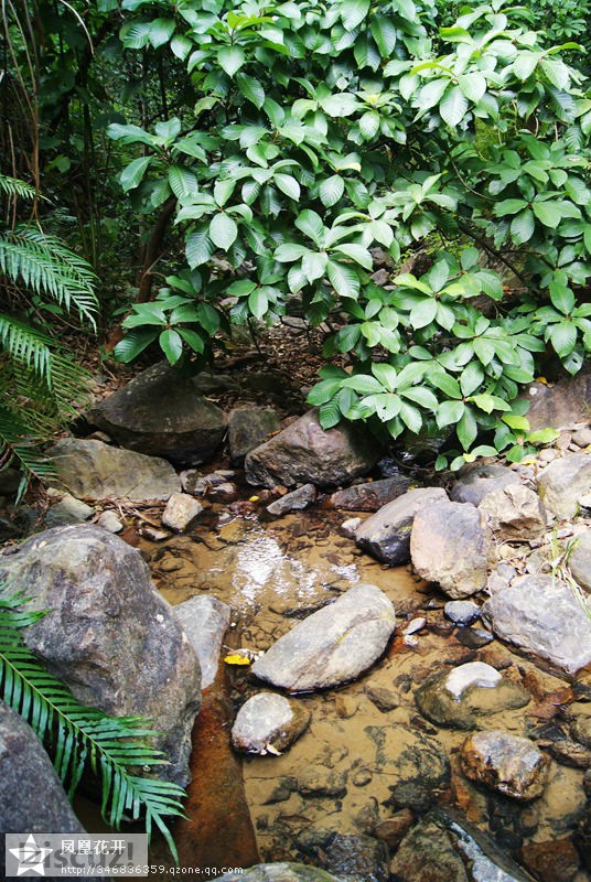 05.jpg