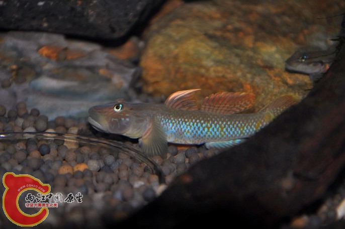 调整大小 调整大小 复制 DSC_0779.jpg