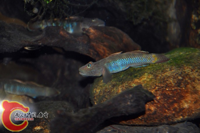 调整大小 调整大小 复制 DSC_0846.jpg