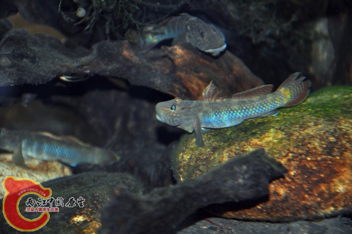 调整大小 调整大小 复制 DSC_0847.jpg