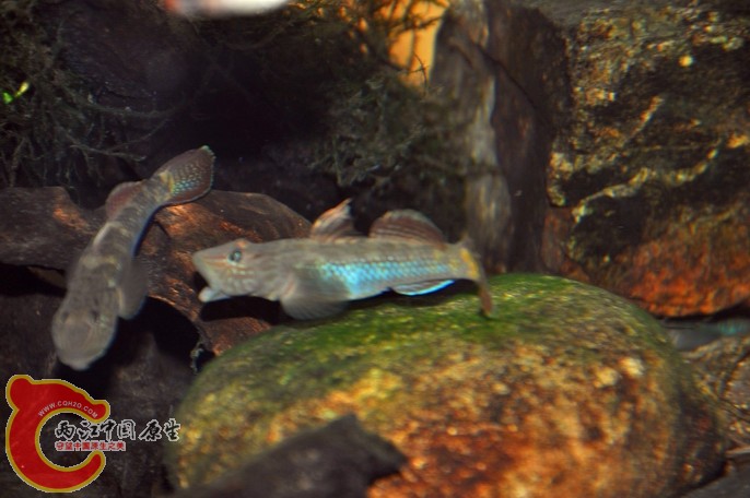 调整大小 调整大小 复制 DSC_0849.jpg