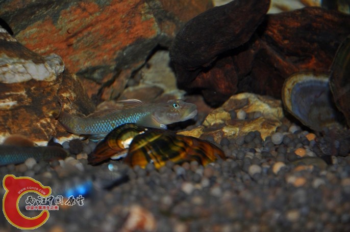 调整大小 调整大小 复制 DSC_0865.jpg