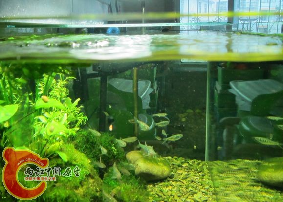 IMG_2225_副本.jpg IMG_2225_副本.jpg