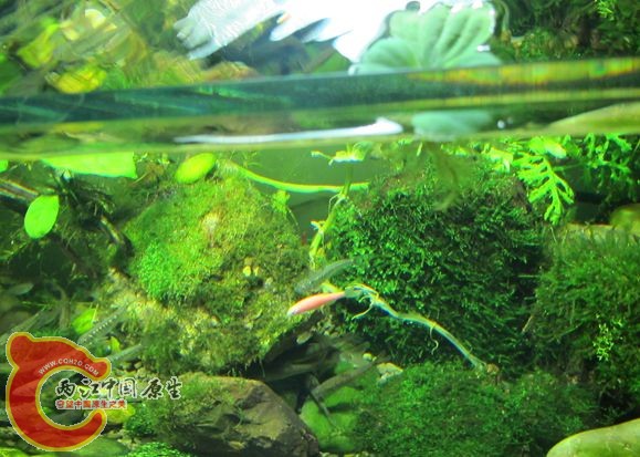 IMG_2230_副本.jpg IMG_2230_副本.jpg