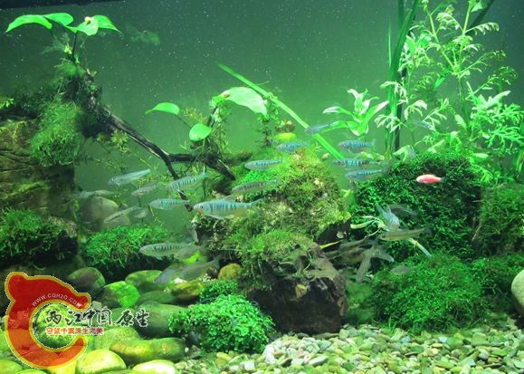 IMG_2232_副本.jpg IMG_2232_副本.jpg