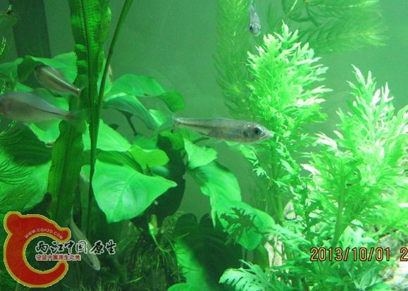 IMG_2026_副本.jpg IMG_2026_副本.jpg