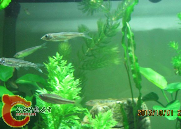 IMG_2027_副本.jpg IMG_2027_副本.jpg
