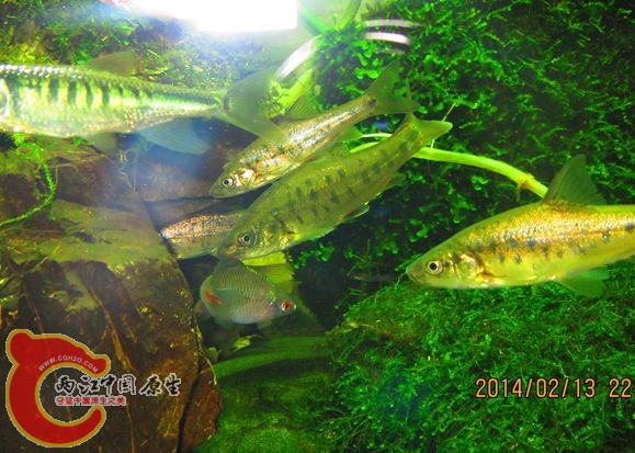 IMG_2190_副本.jpg IMG_2190_副本.jpg