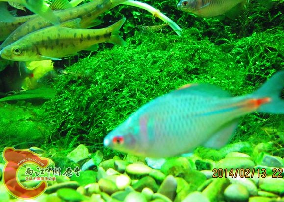 IMG_2191_副本.jpg IMG_2191_副本.jpg