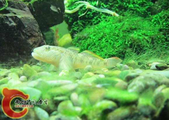 IMG_2249_副本.jpg IMG_2249_副本.jpg