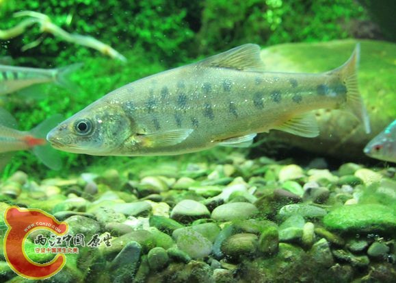 IMG_2258_副本.jpg IMG_2258_副本.jpg