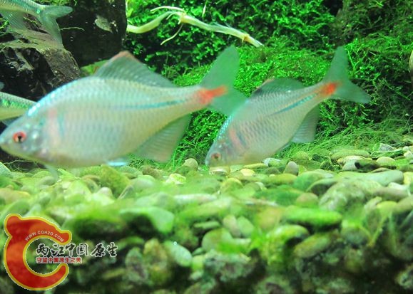 IMG_2260_副本.jpg IMG_2260_副本.jpg