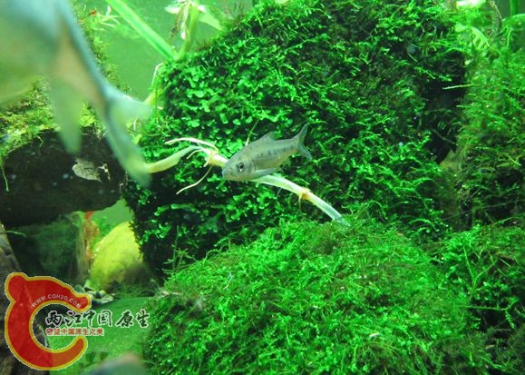 IMG_2261_副本.jpg IMG_2261_副本.jpg