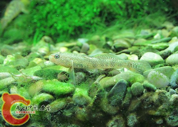 IMG_2267_副本.jpg IMG_2267_副本.jpg
