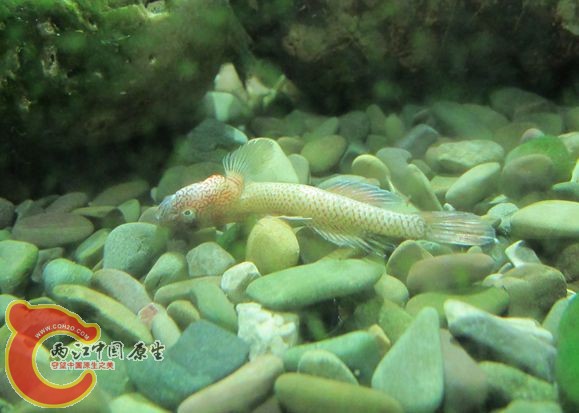 IMG_2269_副本.jpg IMG_2269_副本.jpg