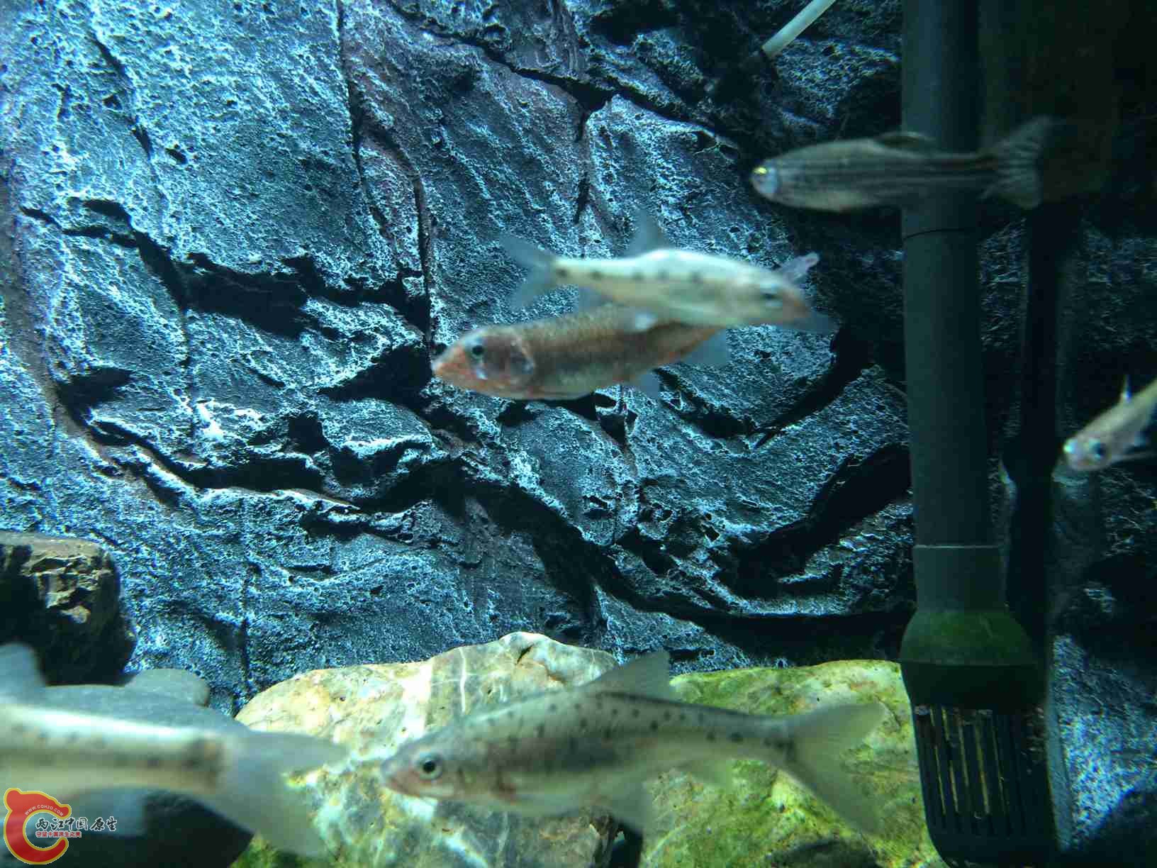 照片 040.jpg 照片 040.jpg
