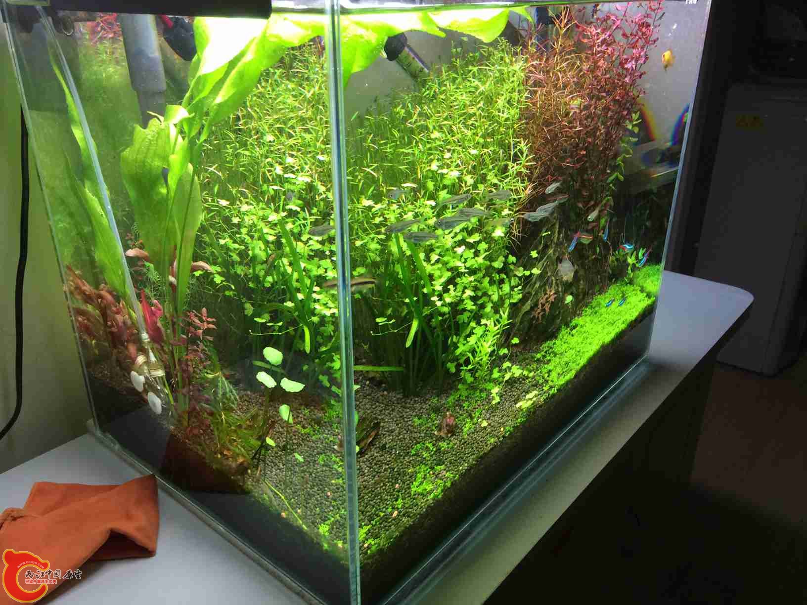 照片 106.jpg 照片 106.jpg