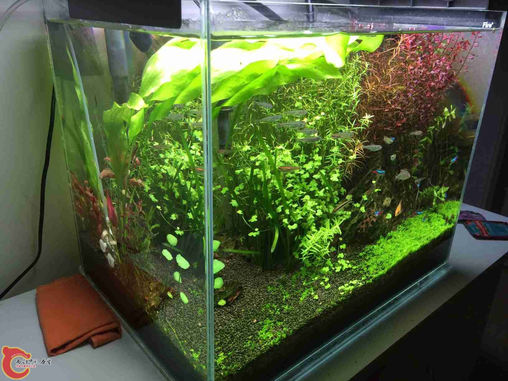 照片 135.jpg 照片 135.jpg