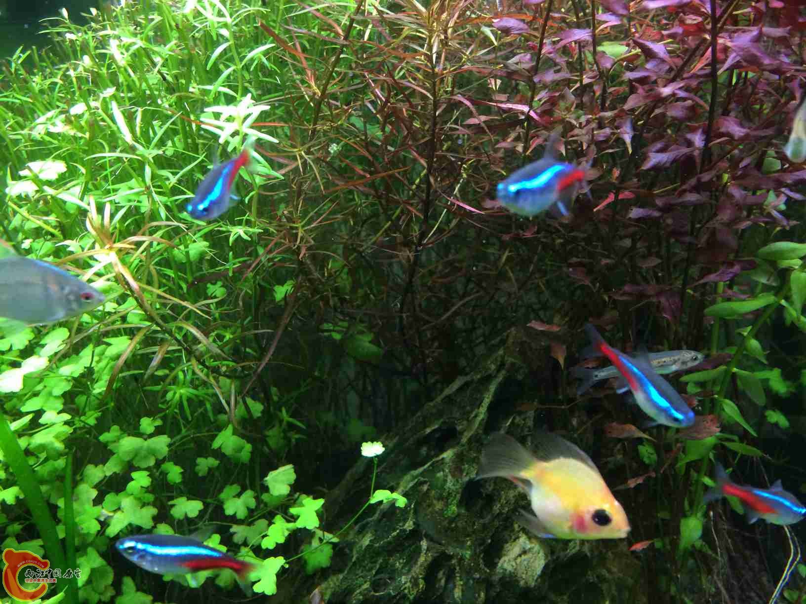 照片 131.jpg 照片 131.jpg