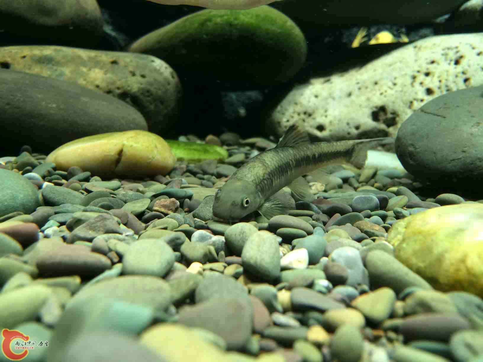 照片 024.jpg 照片 024.jpg