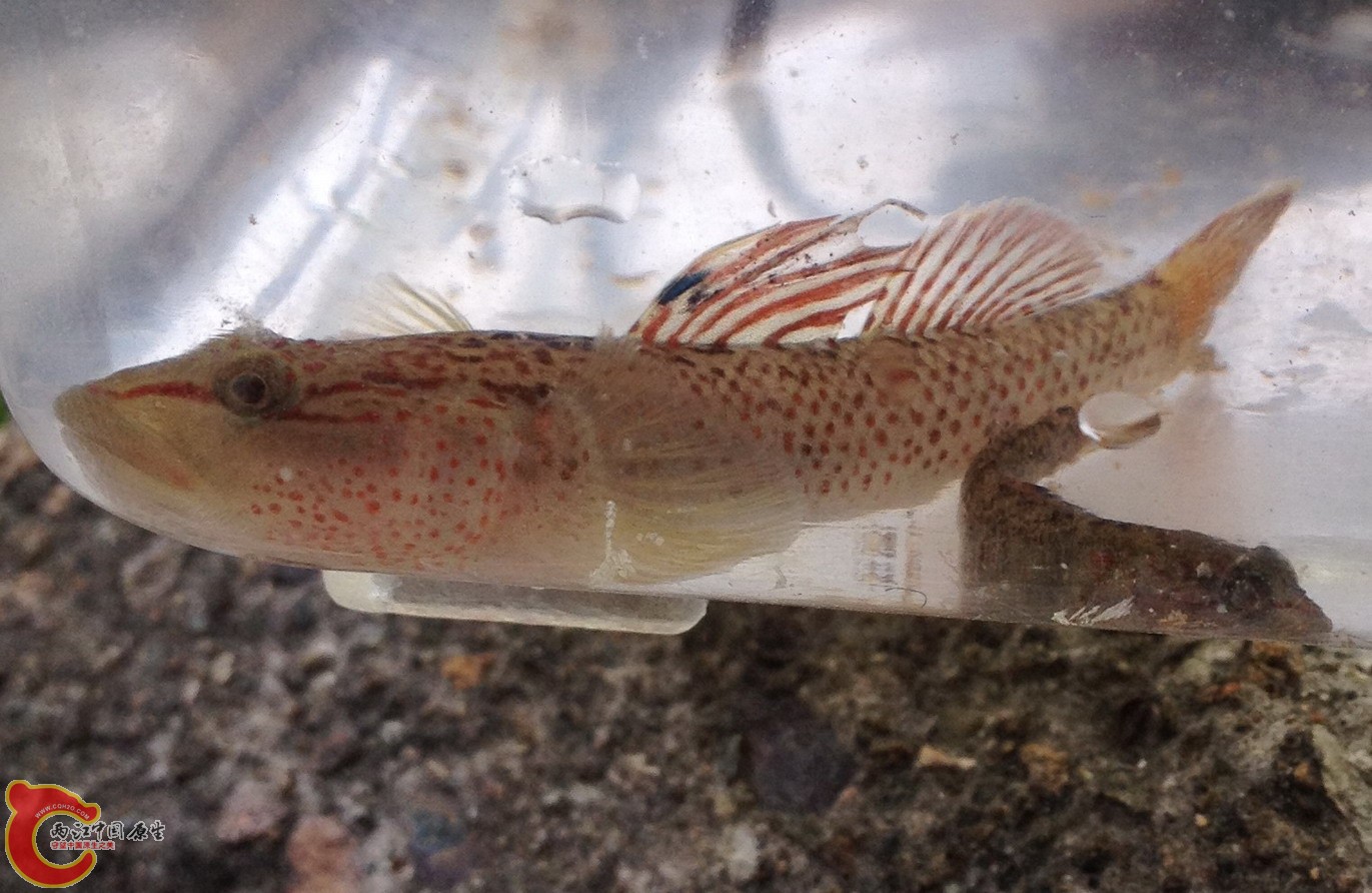 原始照片 551 2.jpg