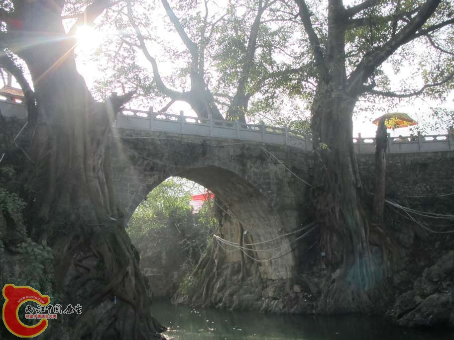 照片 437.jpg