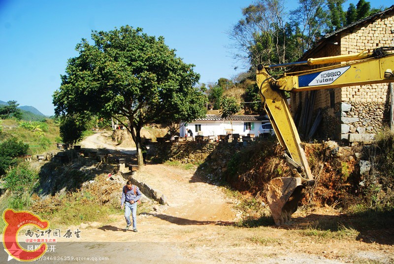05.jpg