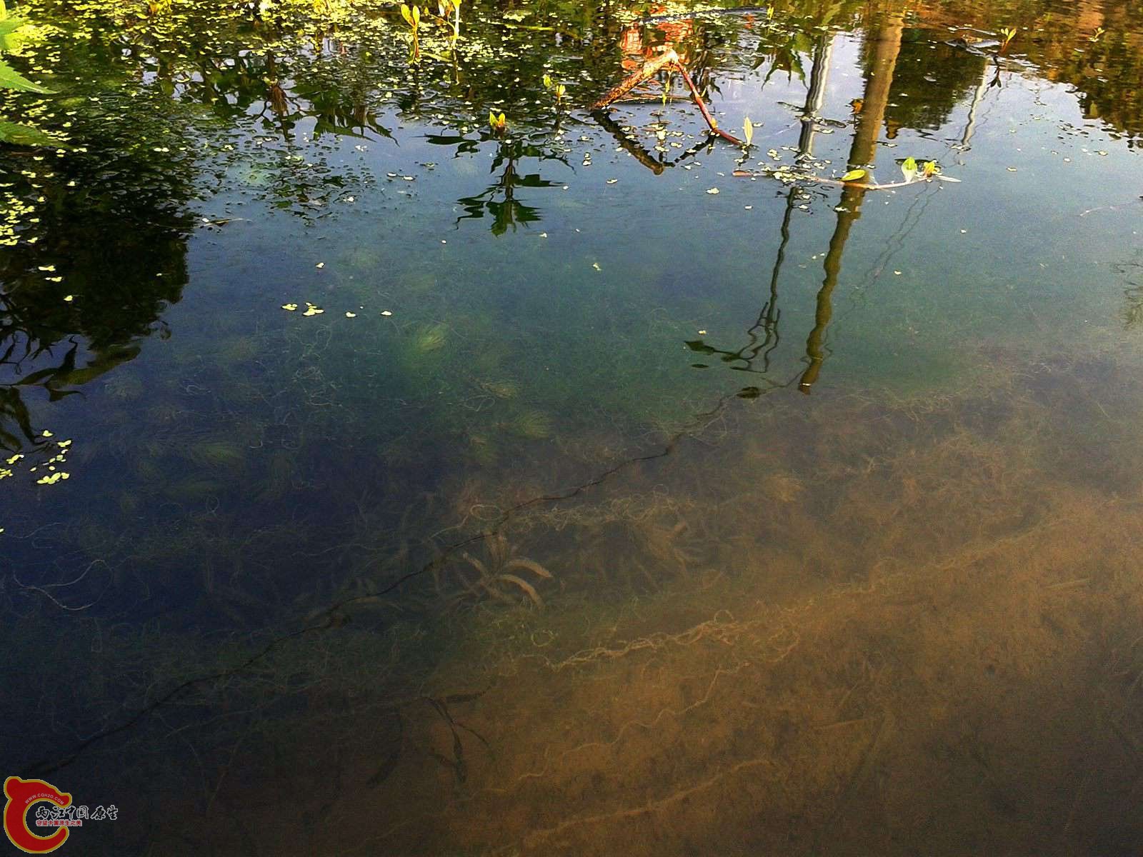 20141212_094300.jpg