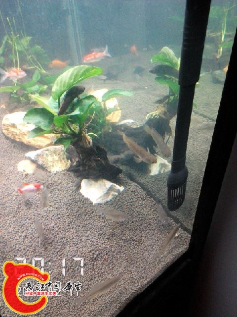 2014_12_17_20_17_44.jpg