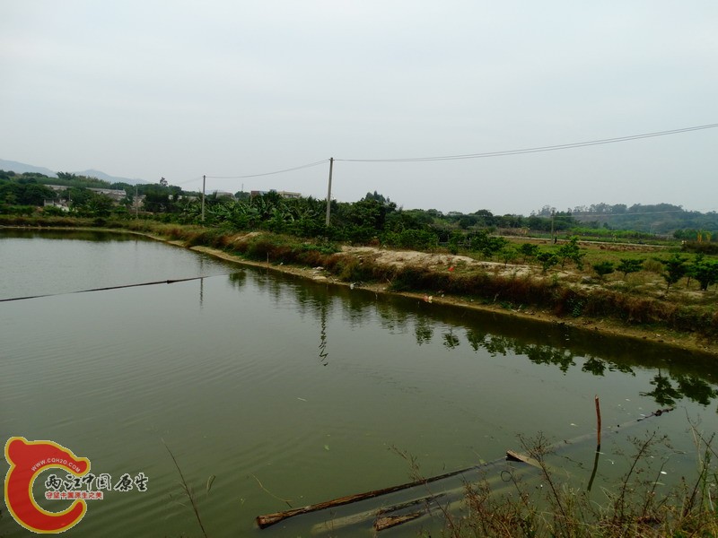 DSC01438.jpg
