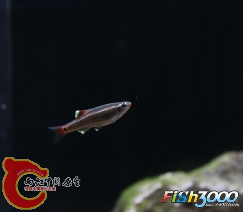 212902mt22zi8i02zc7z0g.jpg