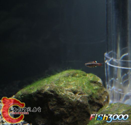 212845wf2hpihc2pxjfxh4.jpg
