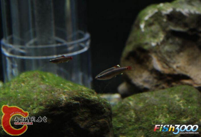 212849ercvbtme77cbi9ev.jpg