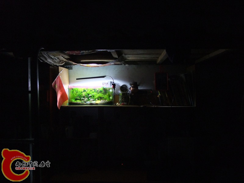 DSCF4505.JPG