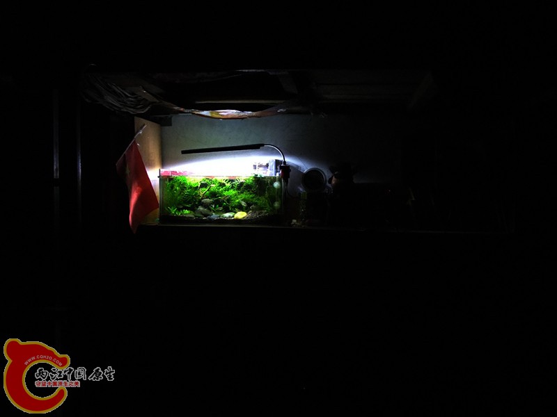 DSCF4507.JPG