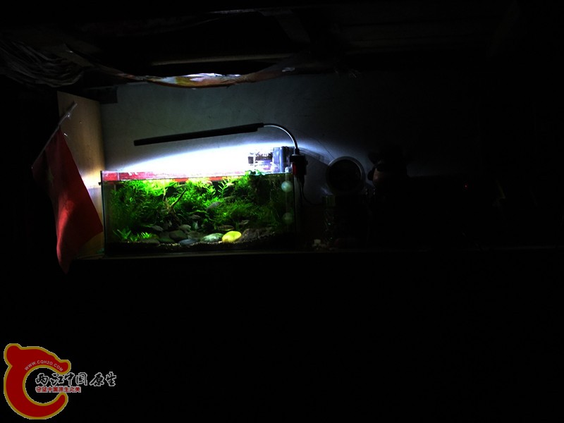 DSCF4508.JPG