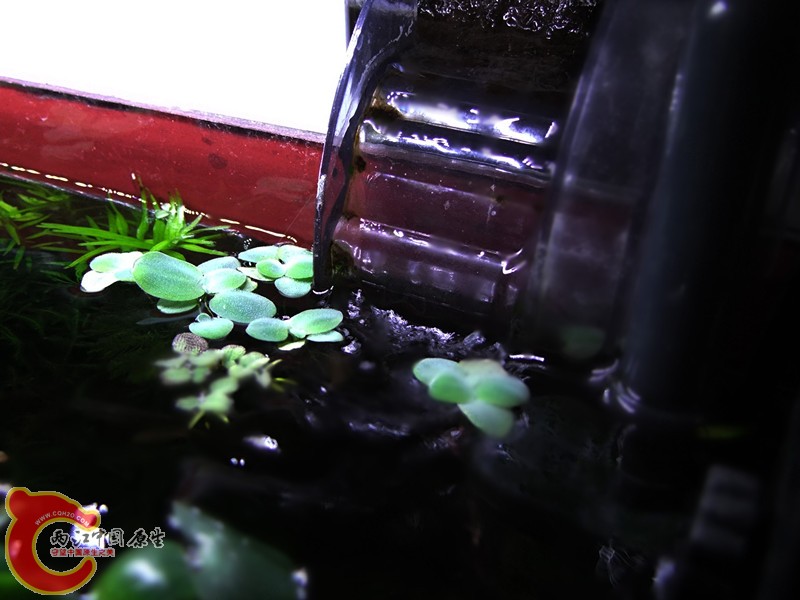 DSCF4532.JPG