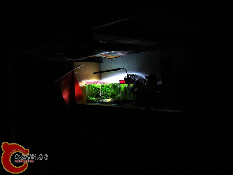 DSCF4551.JPG