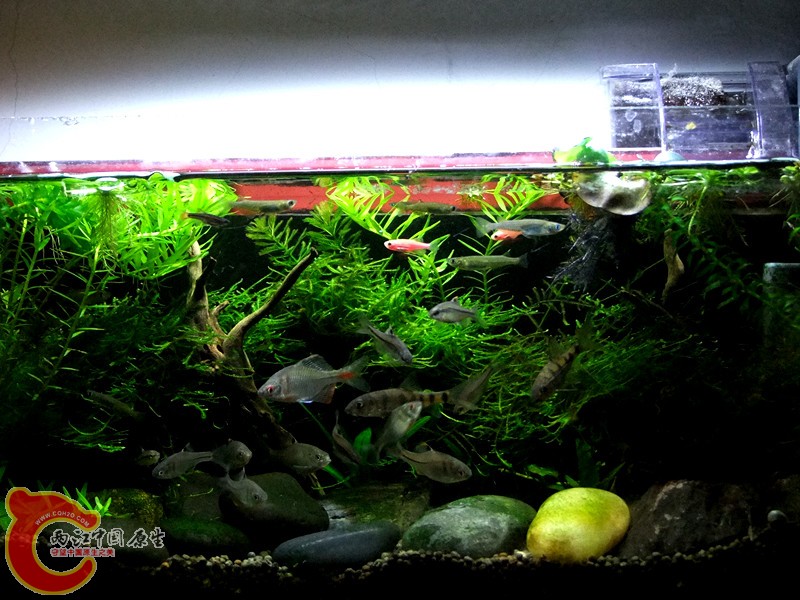 DSCF4413.JPG