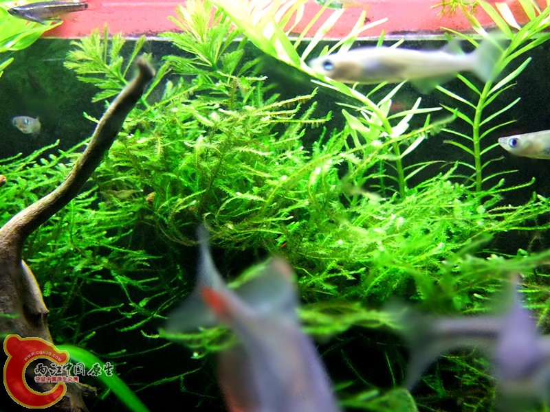 DSCF4430.JPG