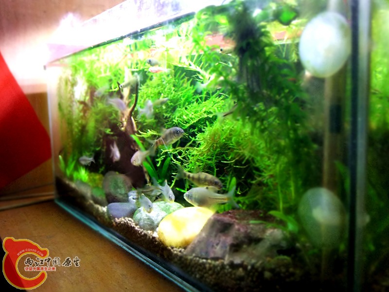 DSCF4520.JPG