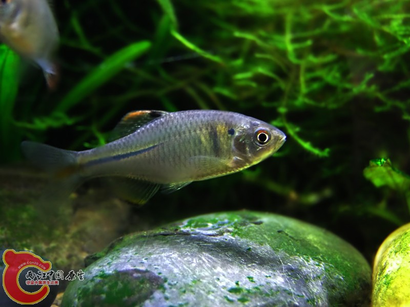 DSCF4455.JPG