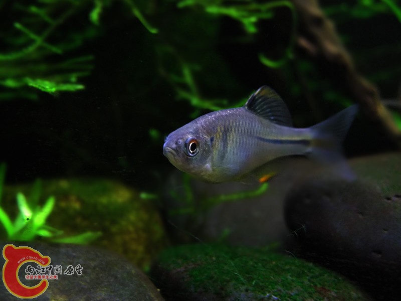 DSCF4489.JPG