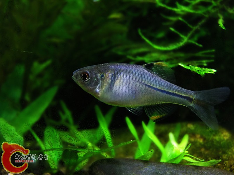 DSCF4490.JPG